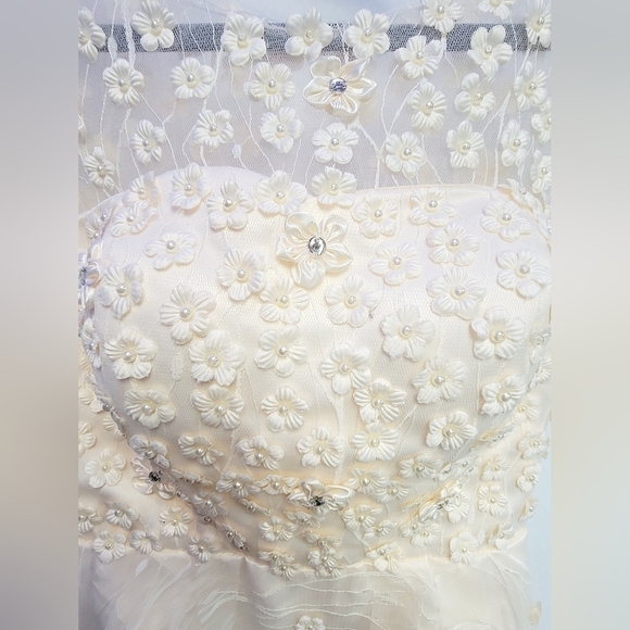 TS COUTURE Women's Size 2/4 Sleeveless Dress, Lined, Tulle skirt, Embroi… - Picture 11 of 15